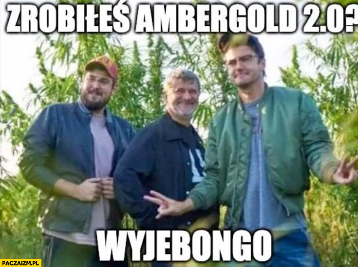 Zrobiłeś Amber Gold 2.0? Wyjebongo Palikot Wojewódzki