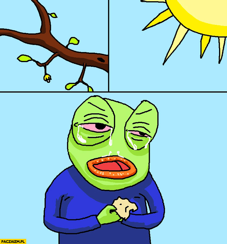 Życie alergika żaba