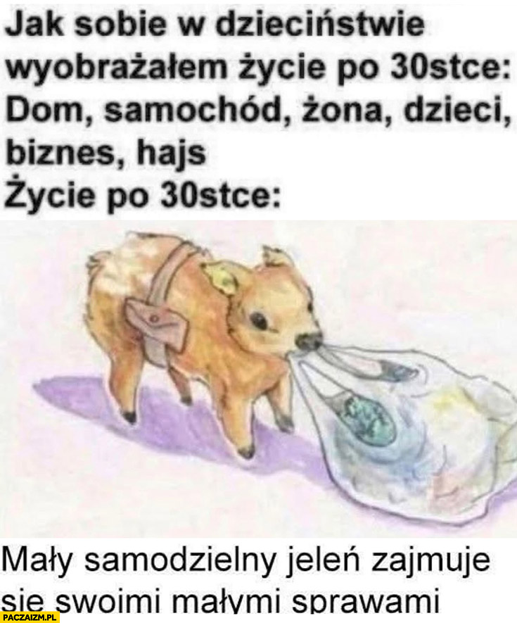 Życie po 30-stce: mały samodzielny jeleń zajmuje się swoimi małymi sprawami